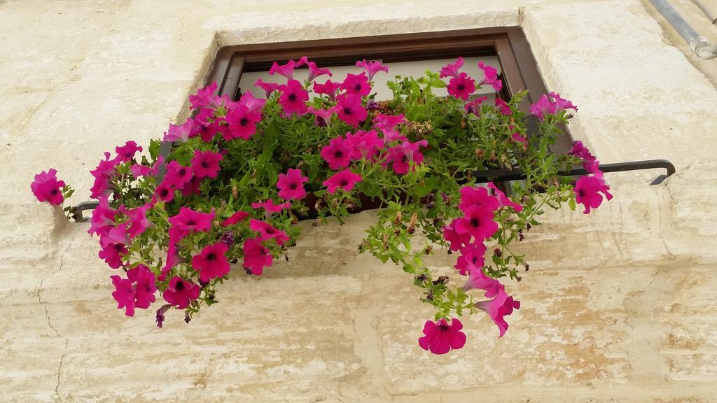 Borgo Antico Lägenhet Monopoli Exteriör bild